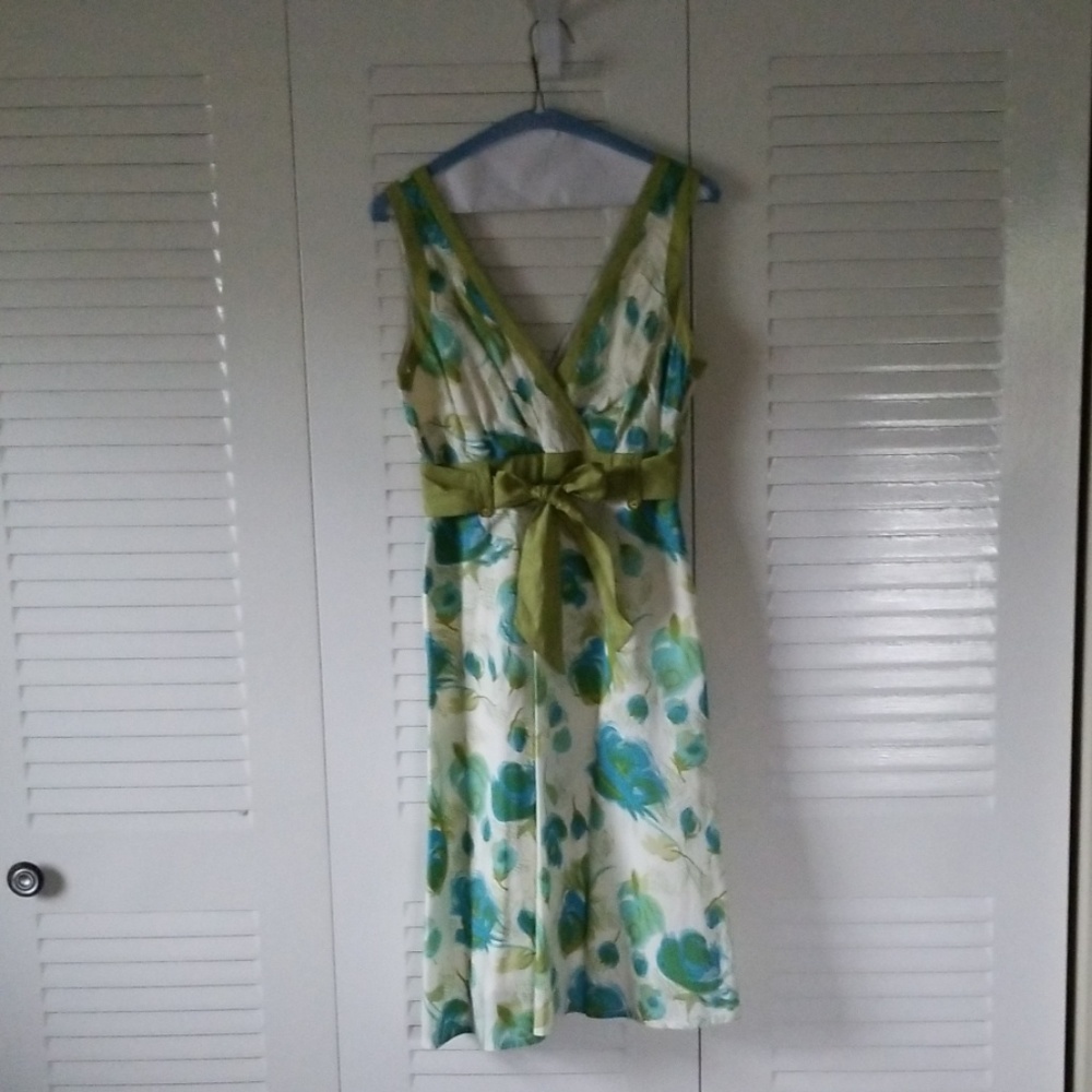 Anthropologie Dress Size 6